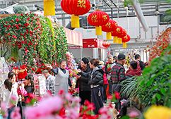 花香四溢中國年