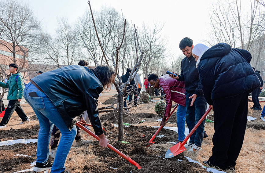 中外师生共植友谊林。天津大学宣传部供图