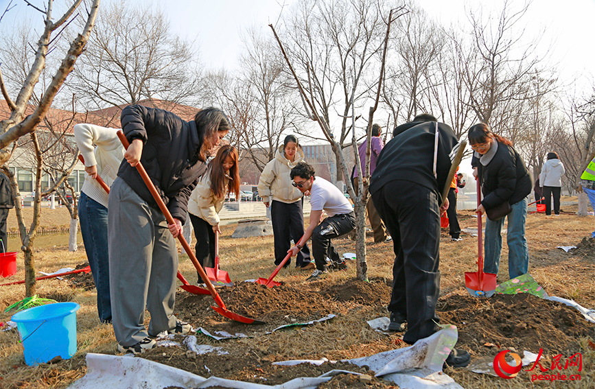 中外师生共植友谊林。人民网记者 崔新耀摄