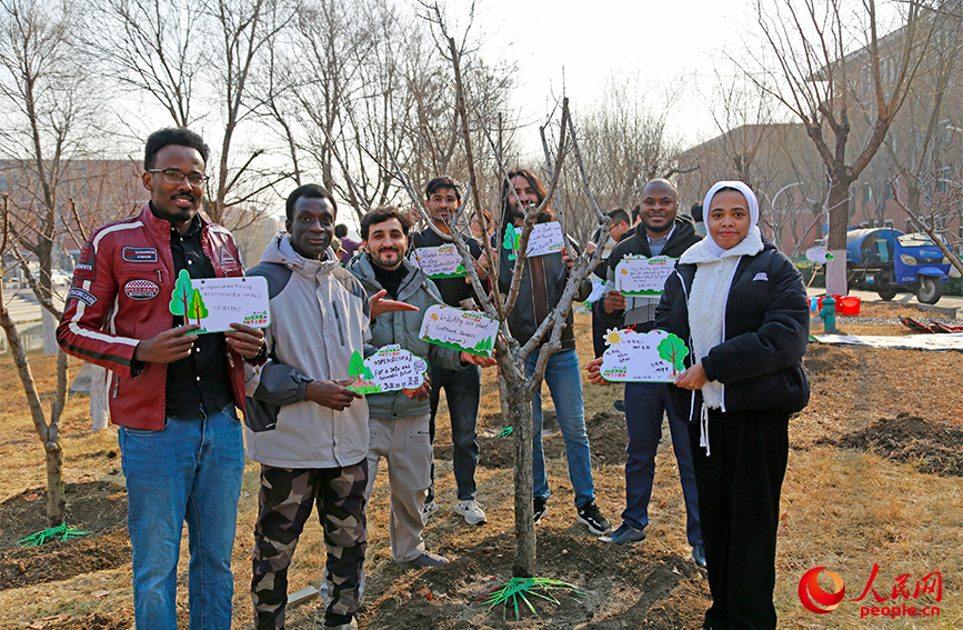 中外师生共植友谊林。人民网记者 崔新耀摄