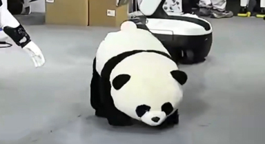 "熊猫Say Hi" 具身智能机器人又上新!