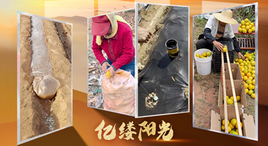 億縷陽光·鄉見︱田間有高手