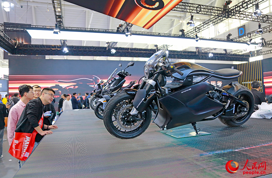 觀眾參觀展會。人民網記者 崔新耀攝