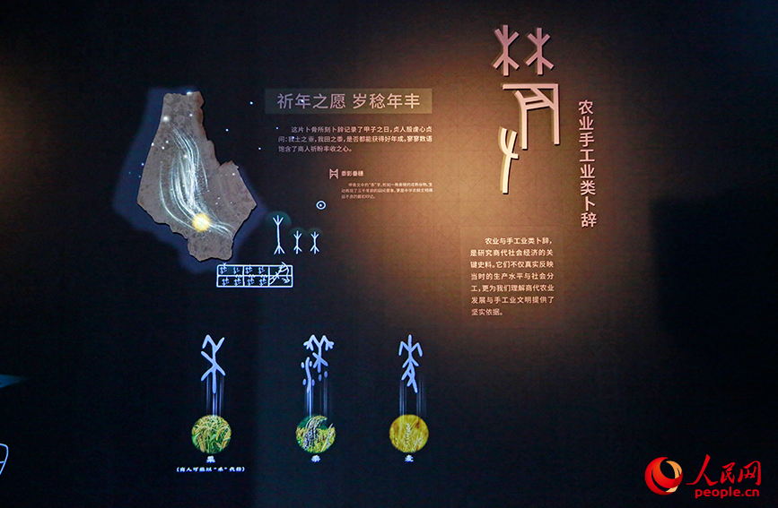 甲骨文數字展。人民網記者 崔新耀攝