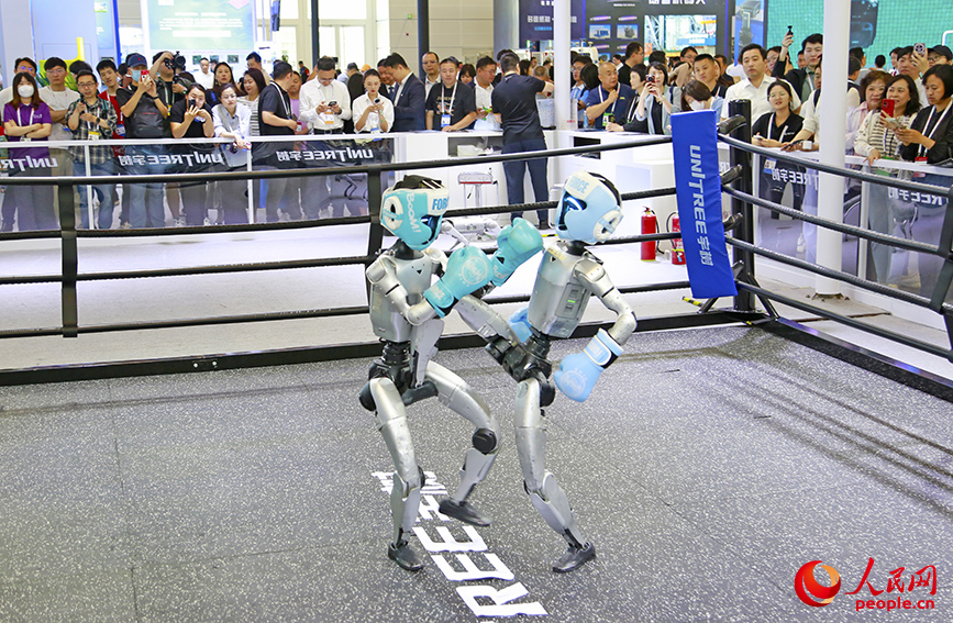 机器人进行武术表演。人民网记者 崔新耀摄