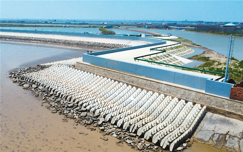 滨海新区防潮海堤工程——崭新屏障 守护安澜