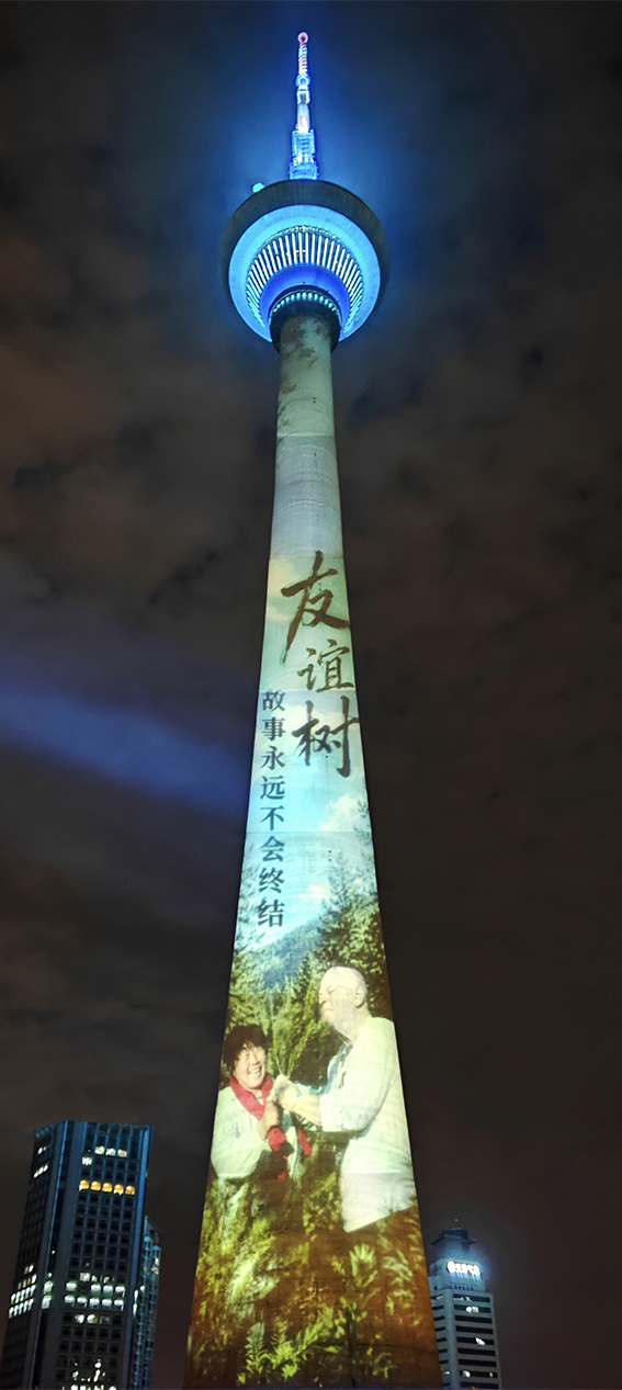 天塔湖风景区供图