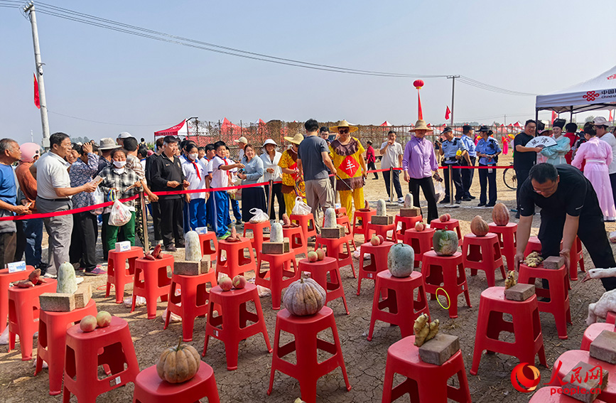 圖為套大鵝趣味體驗區。人民網記者 張靜淇攝